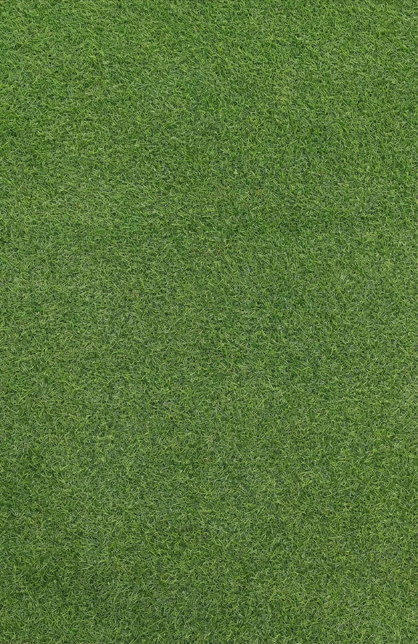 Палас Grass 2.0 04_524_7000000