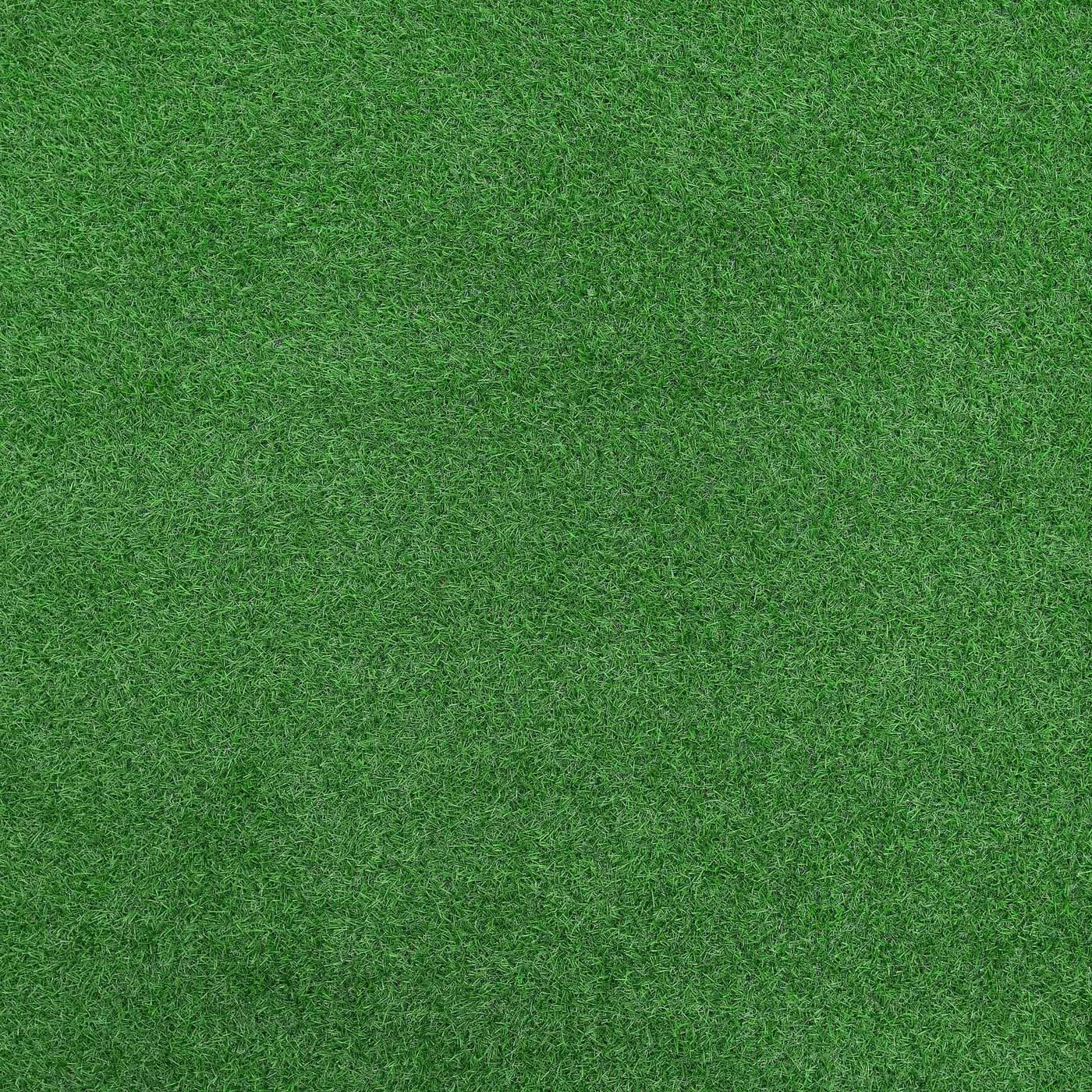 Палас Greenland 04_533_7000000
